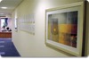 Resources/workplace6_tn_moo-ss_item7a82_83_moo1-1p3_.jpg